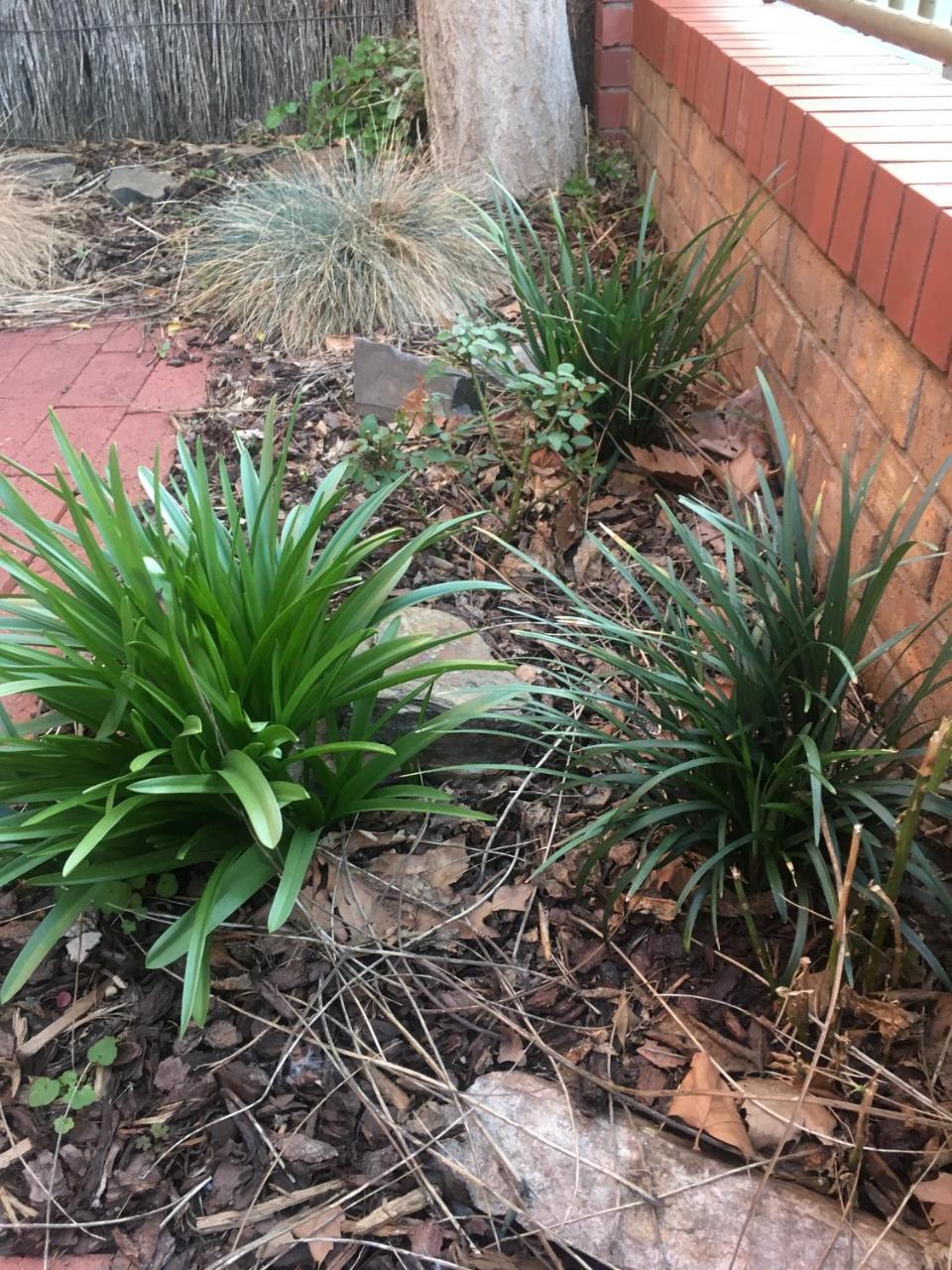 Adelaide Style Accommodation-Getaway In North Adelaide- Close To City Exterior photo